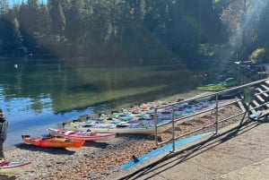 Vancouver: Deep Cove, Lynn Canyon & Quay Market Tour