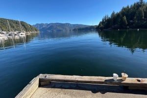 Vancouver: Deep Cove, Lynn Canyon & Quay Market Tour