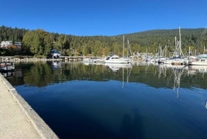 Vancouver: Deep Cove, Lynn Canyon & Quay Market Tour