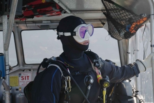 Vancouver: Odkryj najlepsze miejsca do nurkowania z łodzi