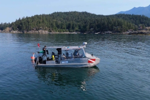 Vancouver: Odkryj najlepsze miejsca do nurkowania z łodzi