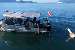 Vancouver: Odkryj najlepsze miejsca do nurkowania z łodzi