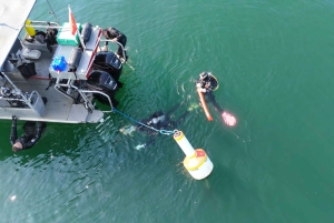 Vancouver: Odkryj najlepsze miejsca do nurkowania z łodzi