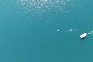 Vancouver: Odkryj najlepsze miejsca do nurkowania z łodzi