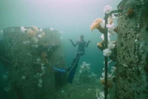 Vancouver: Odkryj najlepsze miejsca do nurkowania z łodzi