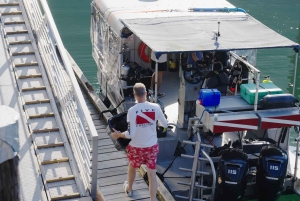 Vancouver: Odkryj najlepsze miejsca do nurkowania z łodzi