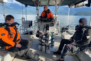 Vancouver: Odkryj najlepsze miejsca do nurkowania z łodzi