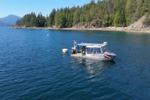 Vancouver: Odkryj najlepsze miejsca do nurkowania z łodzi