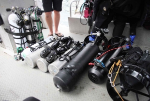 Vancouver: Odkryj najlepsze miejsca do nurkowania z łodzi