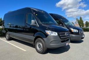 Privat Sprinter-minibuss fra Vancouver DT til/fra Seattle DT