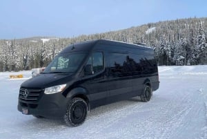 Privat Sprinter-minibuss fra Vancouver DT til/fra Seattle DT