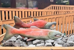 Vancouver: Fraser Canyon, Hell's Gate & Tunnels Day Trip