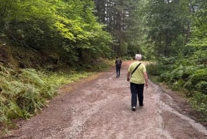 Vancouver: Fraser Canyon, Hell's Gate & Tunnels Day Trip