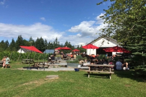 Vancouver: Fraser Valley Wine Tasting Tour