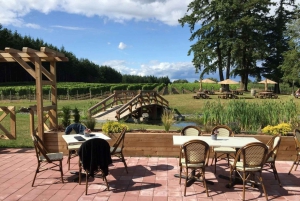 Vancouver: Fraser Valley Wijnproeverij Tour