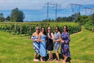 Vancouver: Fraser Valley Wine Tour with Tastings