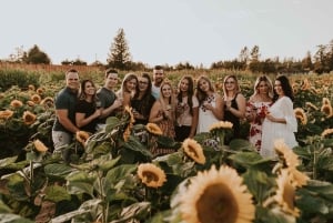 Vancouver: Fraser Valley Wine Tour with Tastings