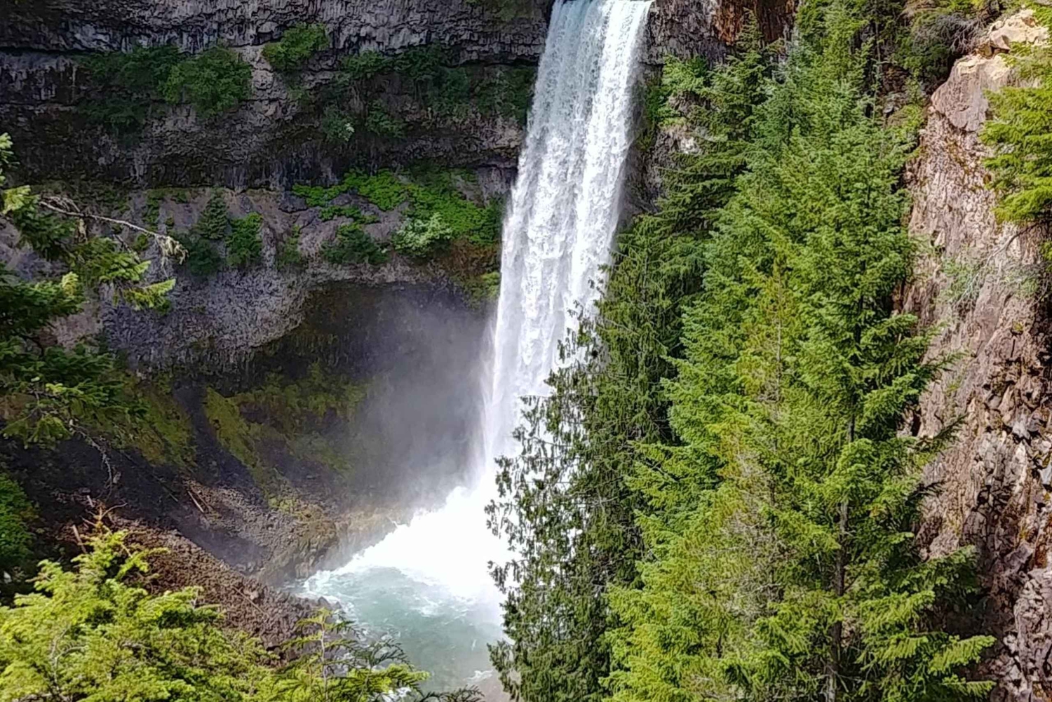 Vancouver: Privat heldagstur til Whistler