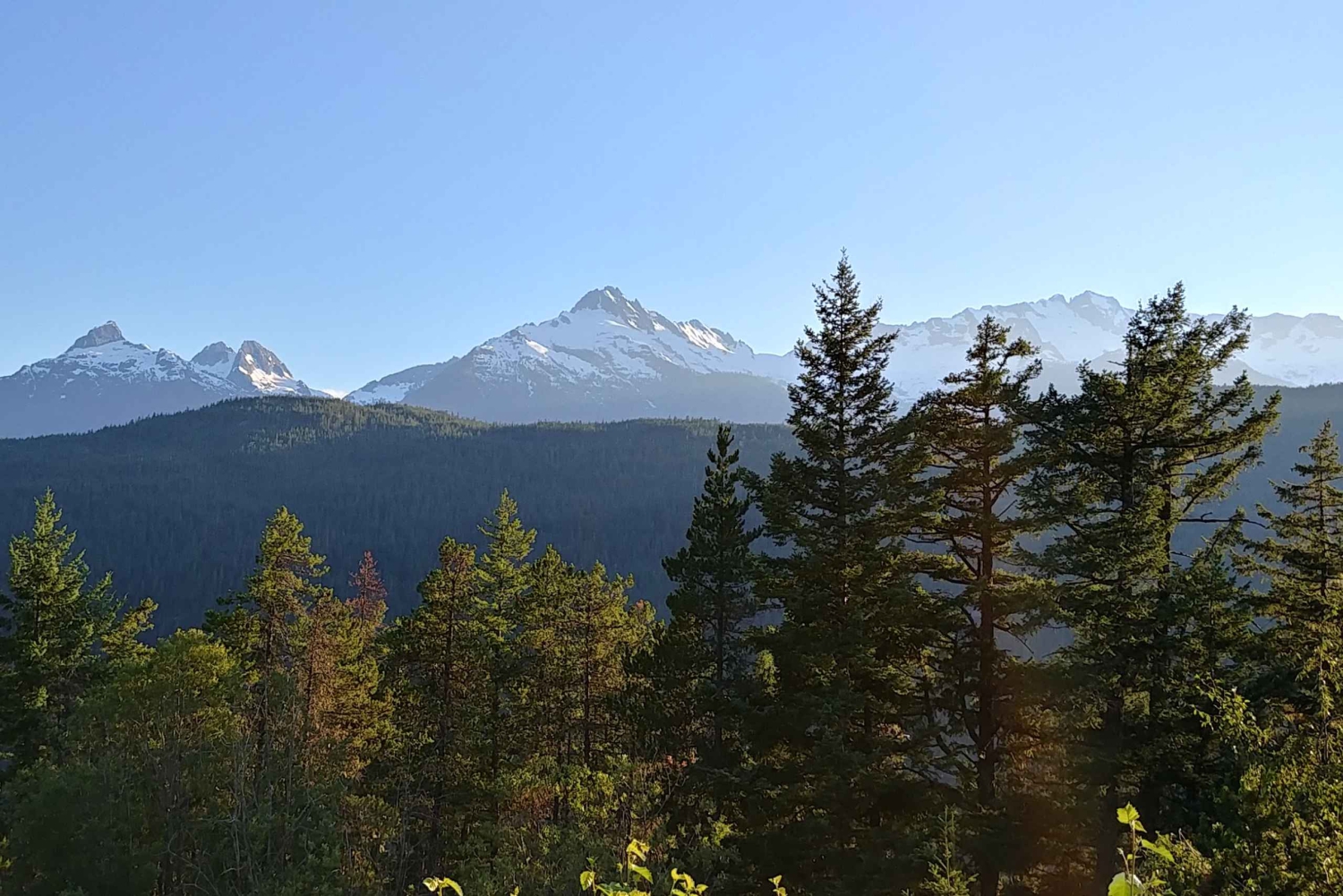 Vancouver: Privat heldagstur til Whistler