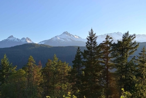 Vancouver: Privat heldagstur til Whistler