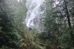 Vancouver: Privat heldagstur til Whistler