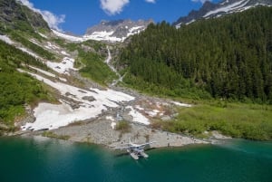 Vancouver: Glacier & Alpine Lake Flight Adventure