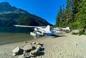 Vancouver: Glacier & Alpine Lake Flight Adventure