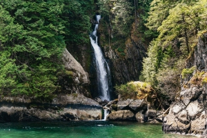 Vancouver: Indian Arm and Granite Falls Zodiac Boat Tour