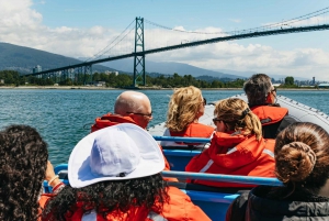 Vancouver: Indian Arm and Granite Falls Zodiac Boat Tour