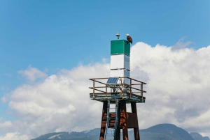 Vancouver: Indian Arm and Granite Falls Zodiac Boat Tour