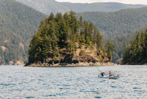 Vancouver: Indian Arm and Granite Falls Zodiac Boat Tour