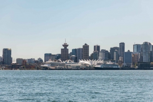 Vancouver: Indian Arm and Granite Falls Zodiac Boat Tour