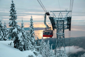 Vancouver: Grouse Mountain Admission Ticket