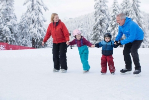 Vancouver: Grouse Mountain Admission Ticket