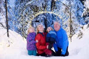Vancouver: Grouse Mountain Admission Ticket