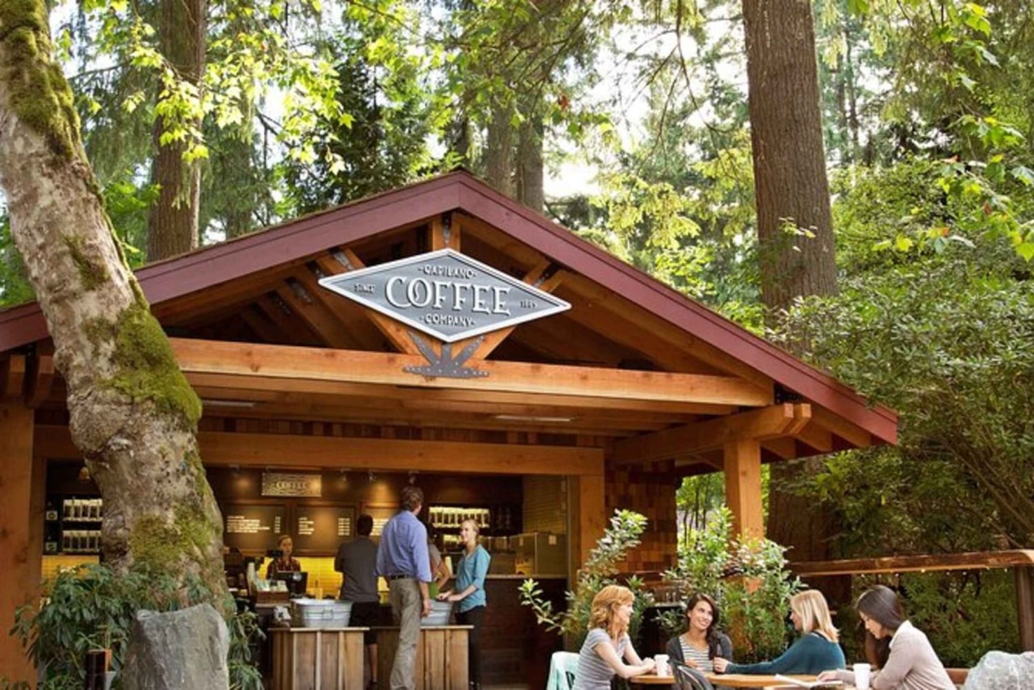 Monte Vancouver Grouse e ponte sospeso di Capilano