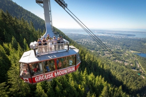 Ванкувер: экспресс-тур Grouse Mountain со Skyride
