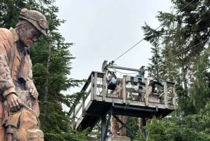 Vancouver: Smagstur til Grouse Mountain og Granville Island