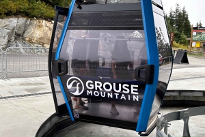 Tour di Vancouver: Grouse Mountain e Granville Island