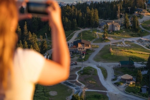 Tour di Vancouver: Grouse Mountain e Granville Island