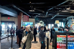 Ванкувер: эксклюзивный тур по горе Граус и парку Стэнли