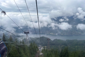 Ванкувер: эксклюзивный тур по горе Граус и парку Стэнли