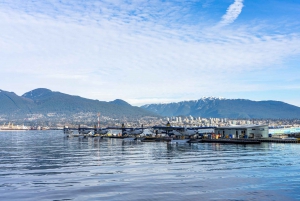 Vancouver Sightseeing & Vancouver Lookout Tour