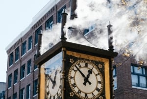 Vancouver: tour guidato delle attrazioni principali in bici e traghetto