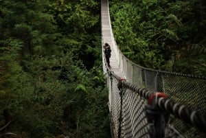 Vancouver: Grouse & Lynn Canyon: Opastetut vaelluksen kohokohdat