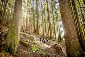 Vancouver: Grouse & Lynn Canyon: Opastetut vaelluksen kohokohdat