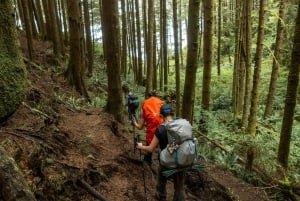 Vancouver: Grouse & Lynn Canyon: Opastetut vaelluksen kohokohdat