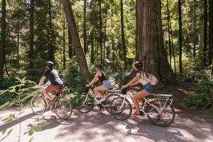 Vancouver: Half-Day City Highlights E-Bike Tour Age 16+