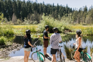 Vancouver: Half-Day City Highlights E-Bike Tour Age 16+