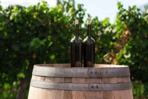 Vancouver: Happy Hour Tour with Tastings and Pickup